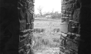 stone2